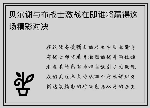 贝尔谢与布战士激战在即谁将赢得这场精彩对决