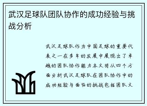武汉足球队团队协作的成功经验与挑战分析