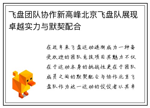 飞盘团队协作新高峰北京飞盘队展现卓越实力与默契配合